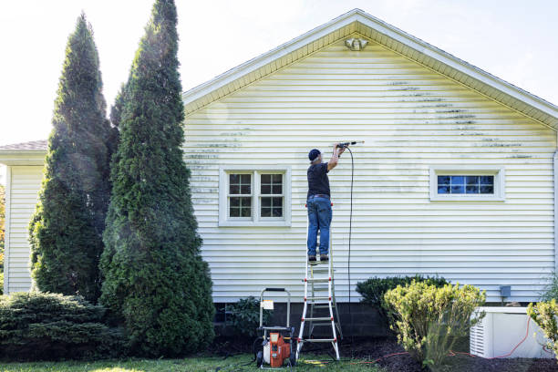 Best Residential Pressure Washing Services  in Maple Park, IL